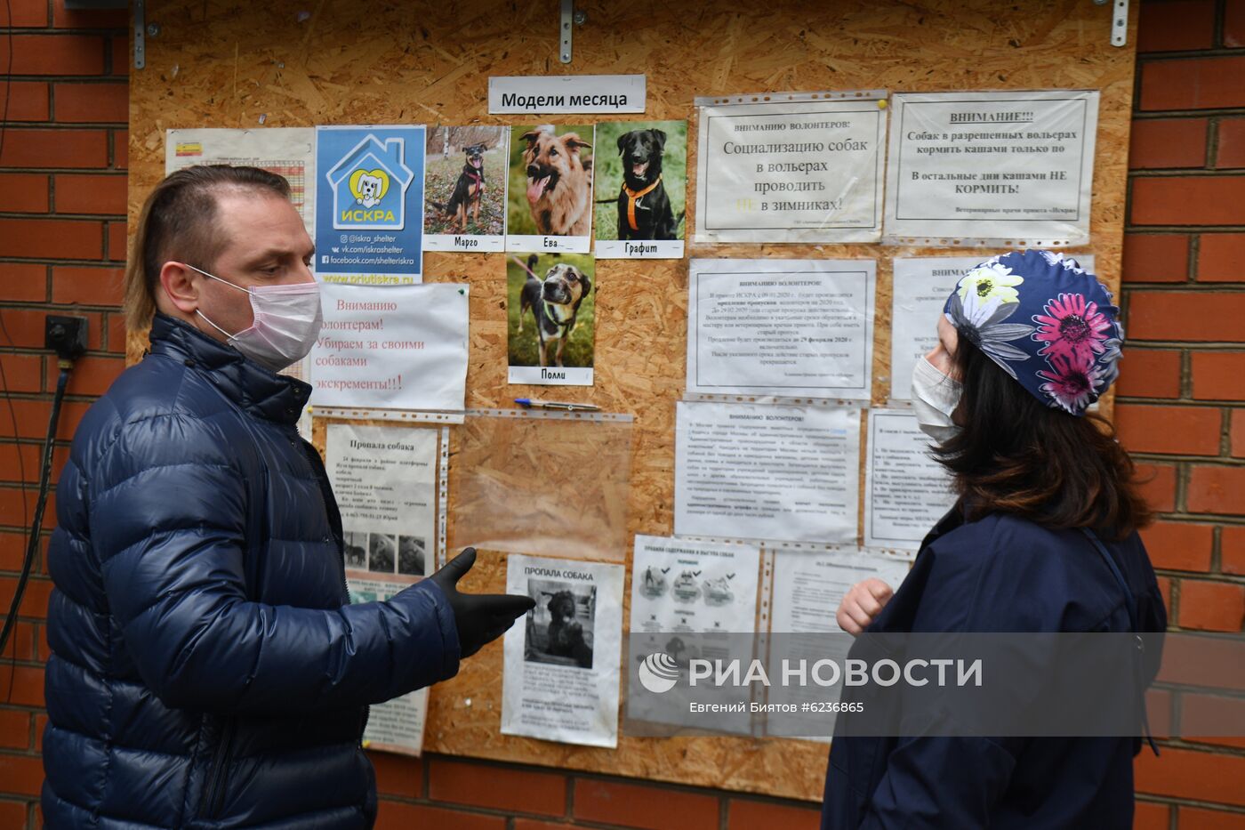 Братья Запашные доставили корм в приюты для животных