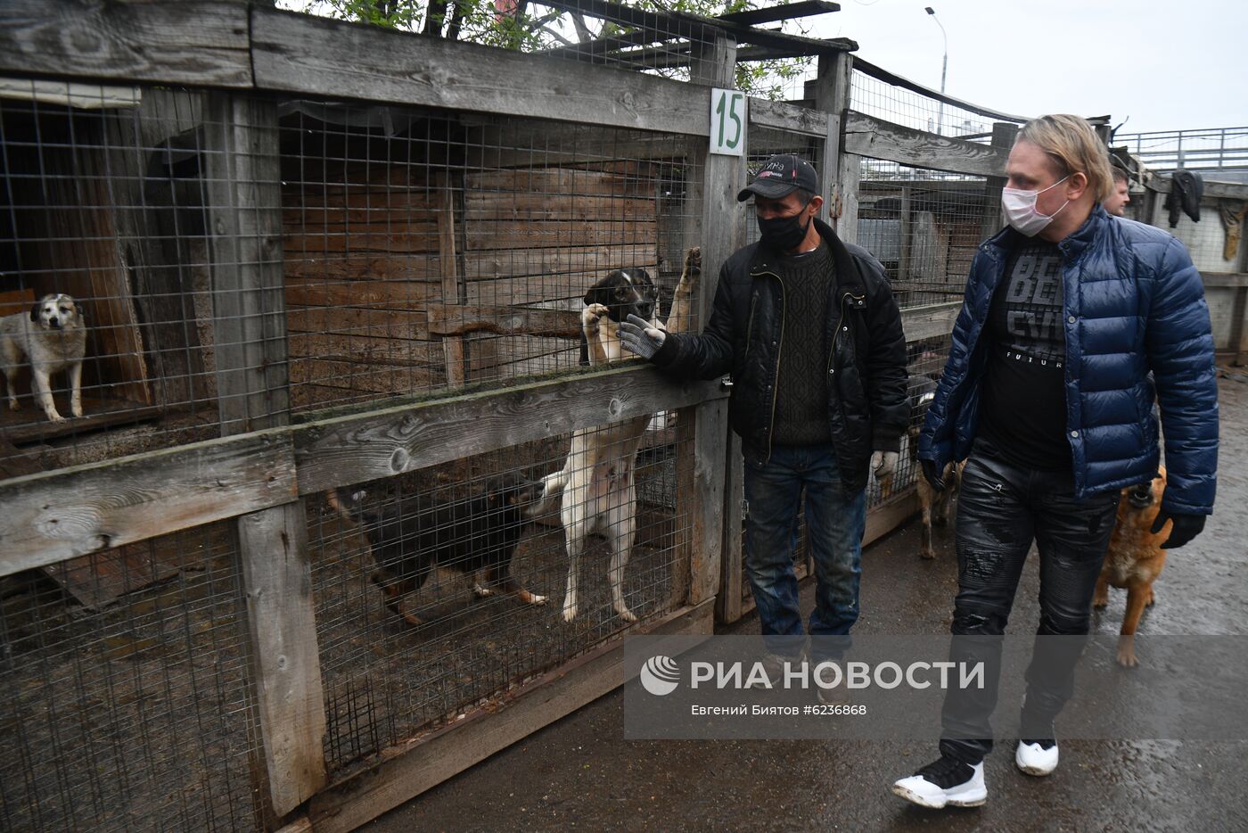 Братья Запашные доставили корм в приюты для животных