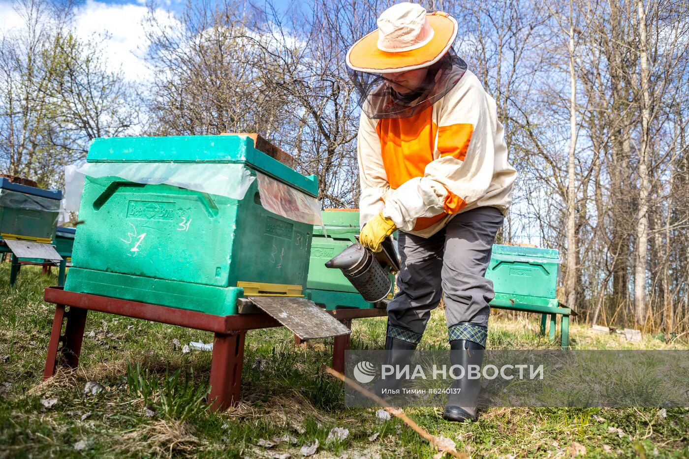 Пасека в Республике Карелия
