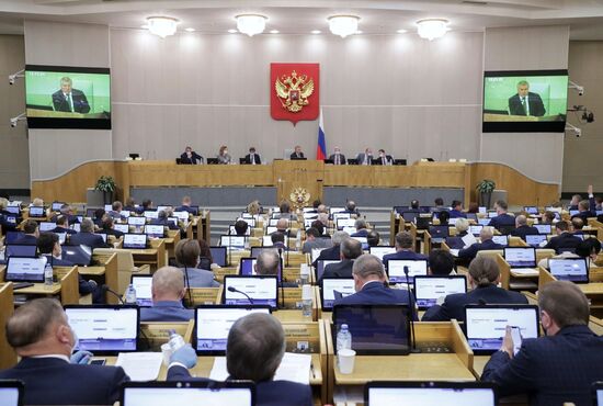 Дополнительное пленарное заседание Госдумы РФ 