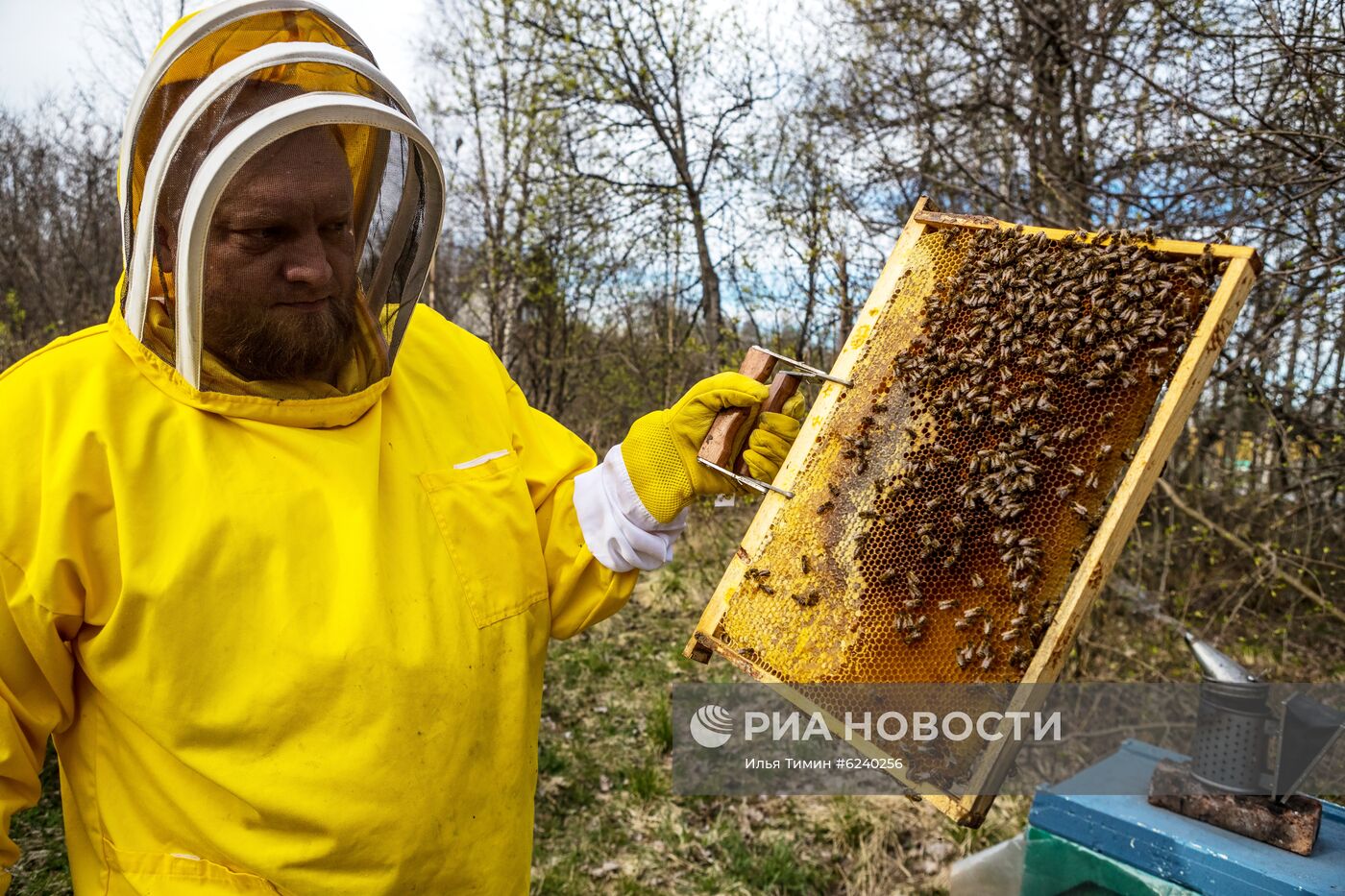 Пасека в Республике Карелия