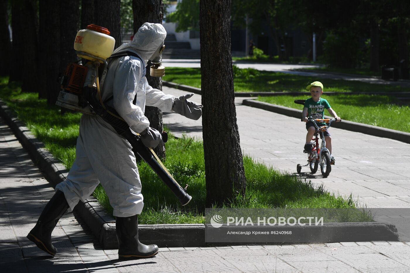 Ослабление карантинного режима в Новосибирске