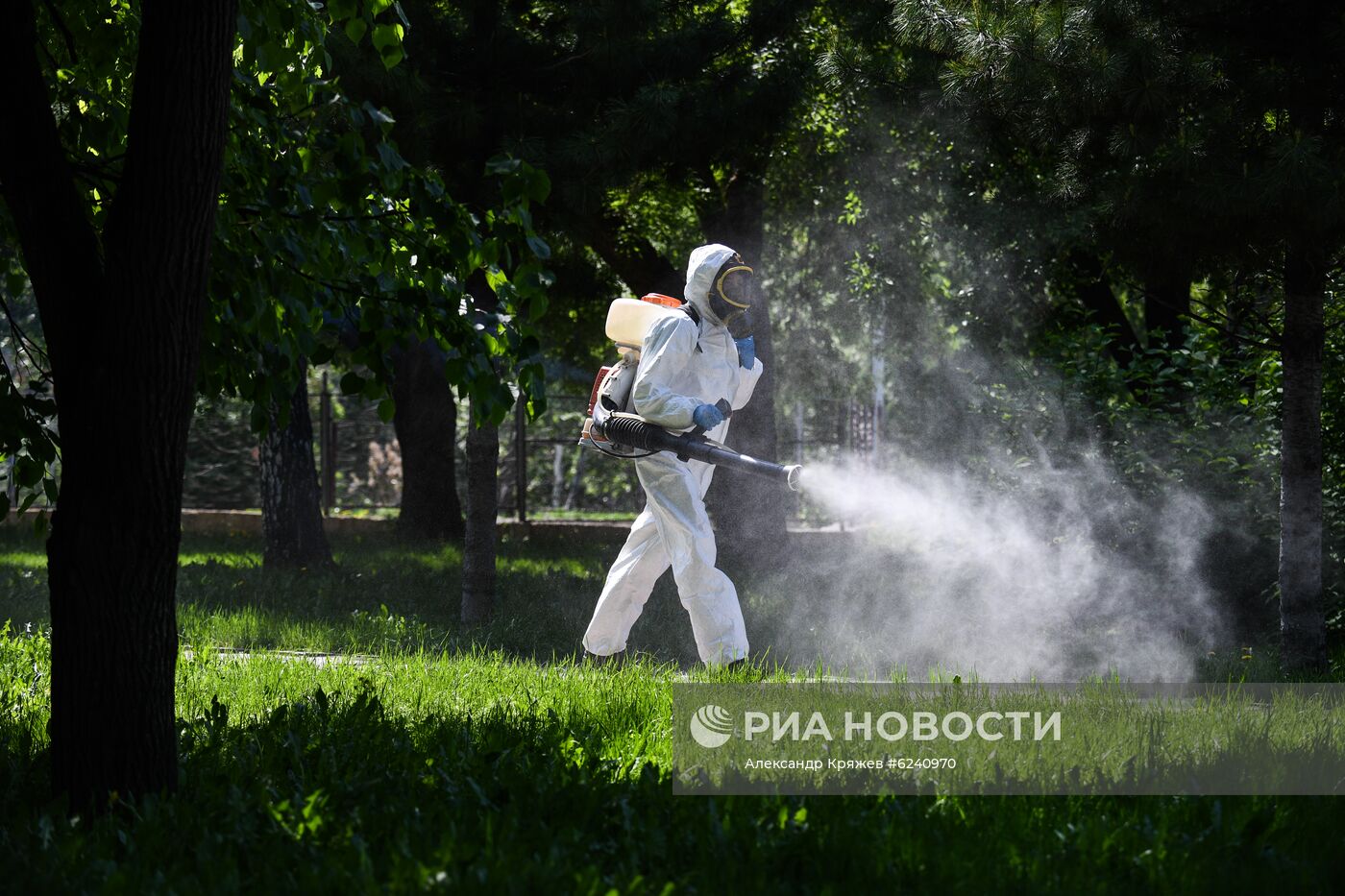 Ослабление карантинного режима в Новосибирске