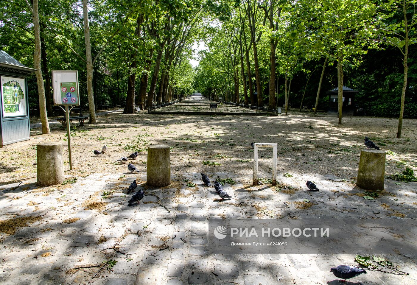 Ослабление карантинного режима во Франции