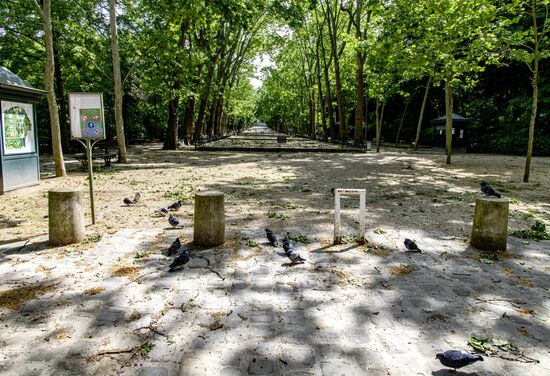 Ослабление карантинного режима во Франции