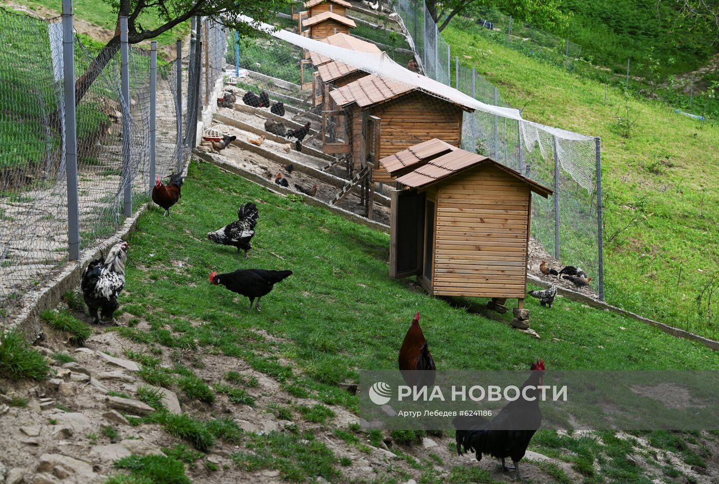 Экокомплекс "Ферма Экзархо" в Сочи