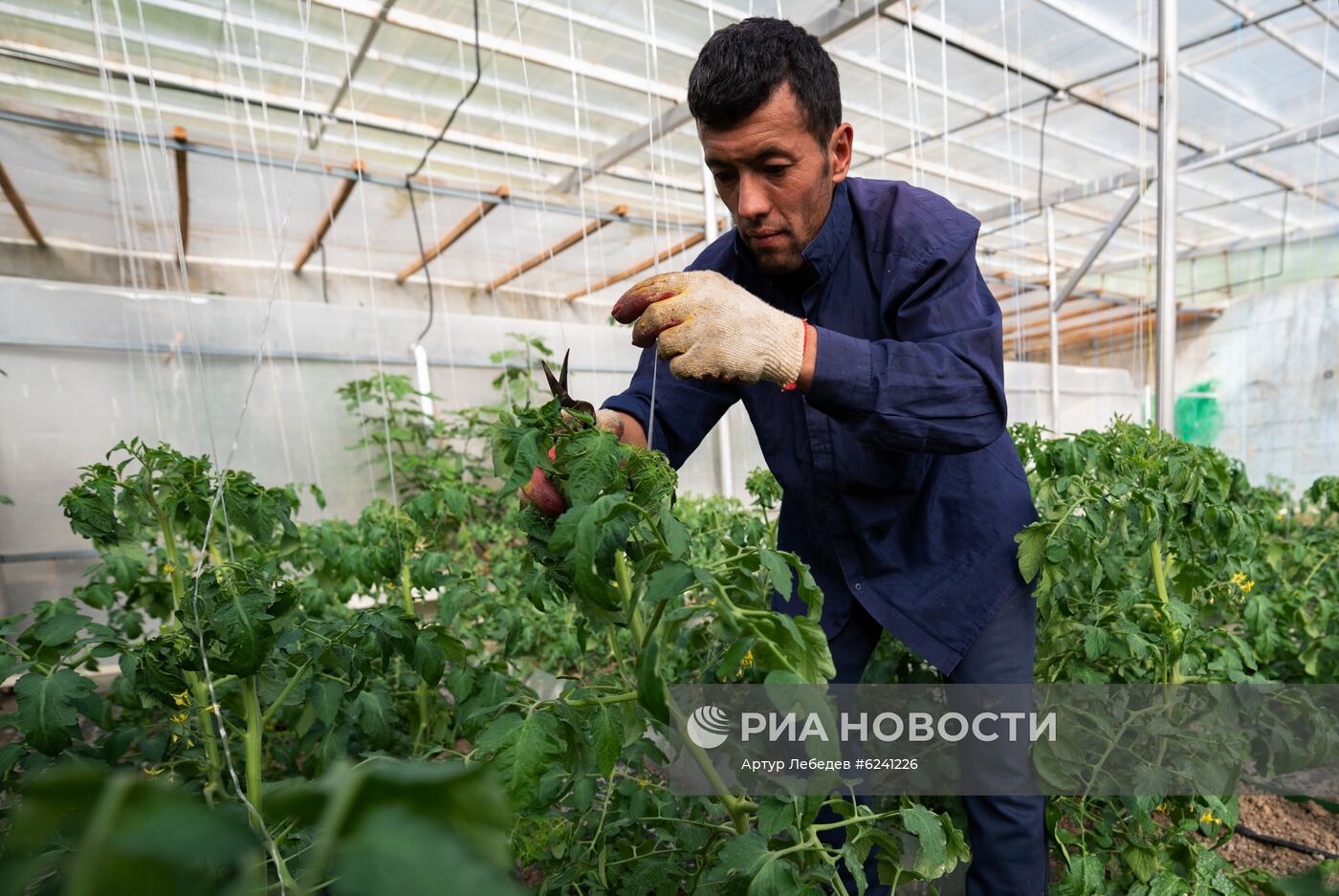 Экокомплекс "Ферма Экзархо" в Сочи