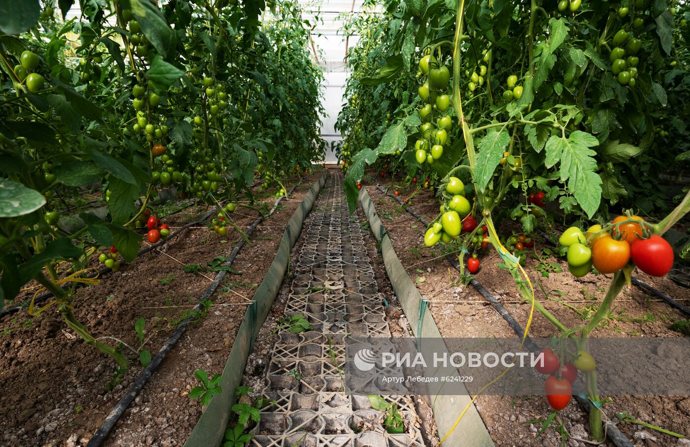 Экокомплекс "Ферма Экзархо" в Сочи