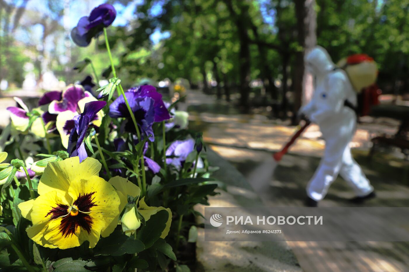 Дезинфекция национального парка в Кисловодске