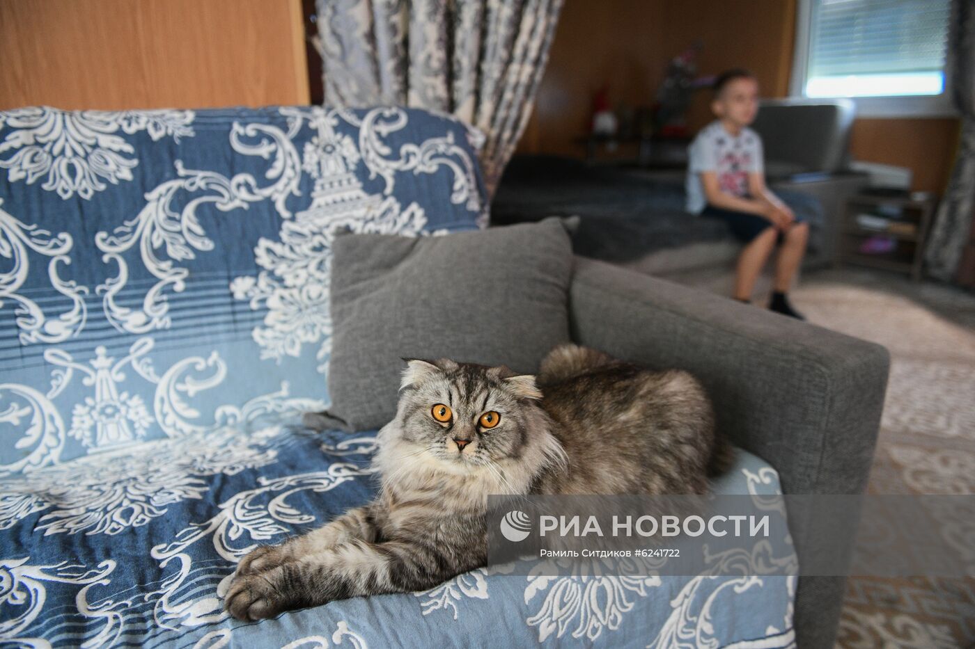 Военнослужащие получили служебное жилье в Подмосковье