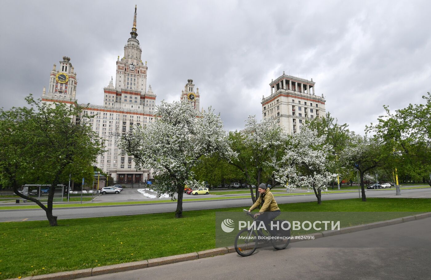 Цветение деревьев в Москве  