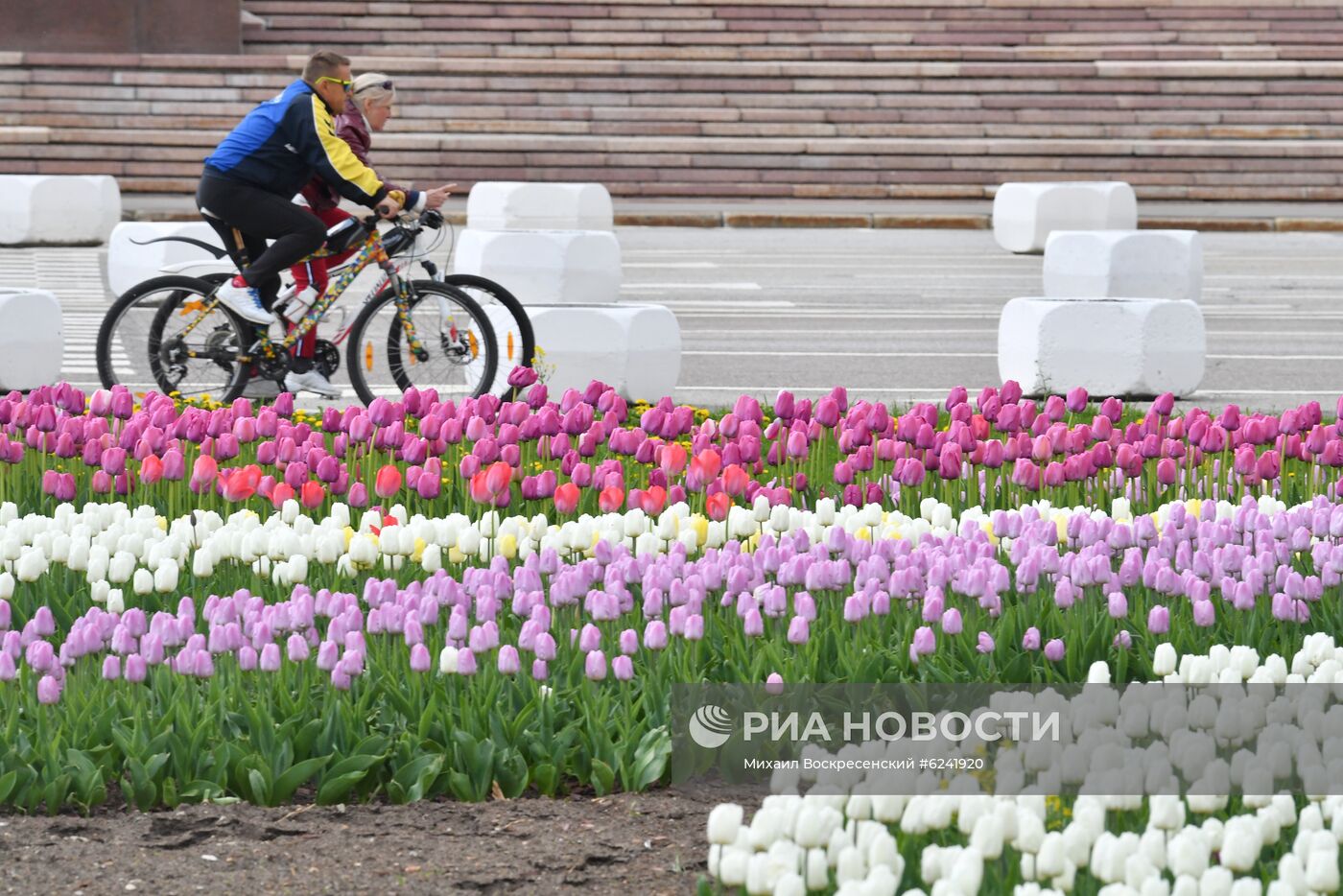 Цветение деревьев в Москве  