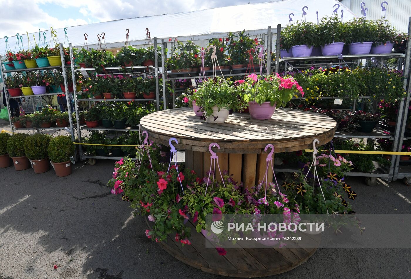 Агрокомбинат "Московский" 