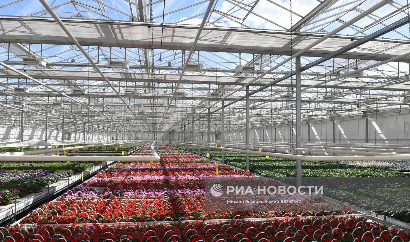 Агрокомбинат "Московский" 