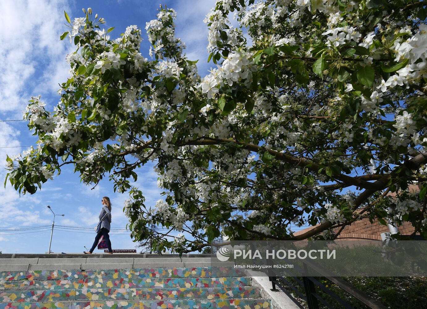 Ослабление карантинного режима в городах России