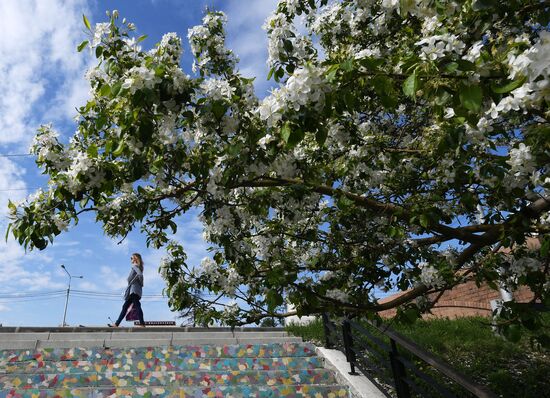Ослабление карантинного режима в городах России