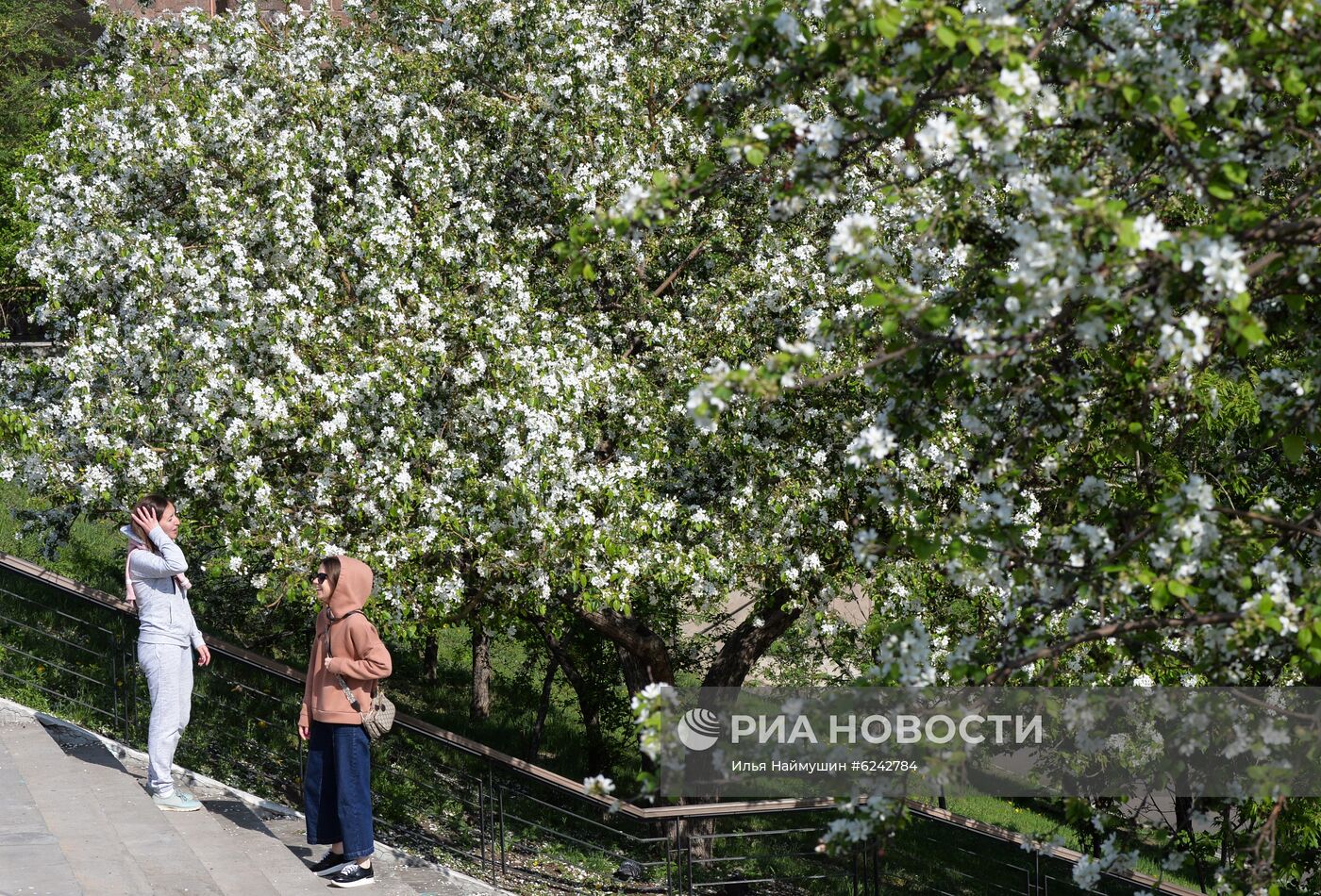 Ослабление карантинного режима в городах России