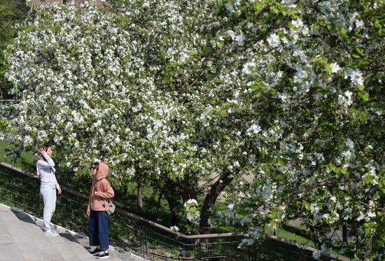 Ослабление карантинного режима в городах России