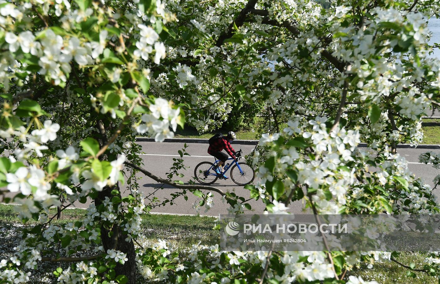 Ослабление карантинного режима в городах России