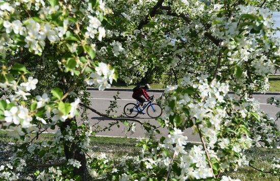 Ослабление карантинного режима в городах России