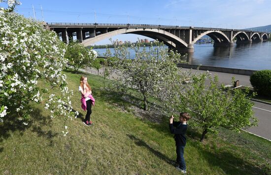 Ослабление карантинного режима в городах России