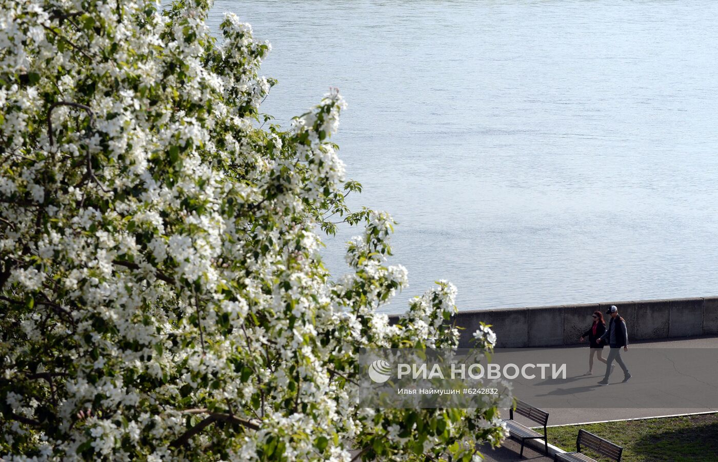 Ослабление карантинного режима в городах России