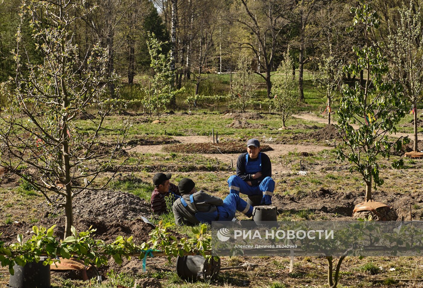 Ослабление карантинного режима в городах России