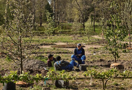 Ослабление карантинного режима в городах России