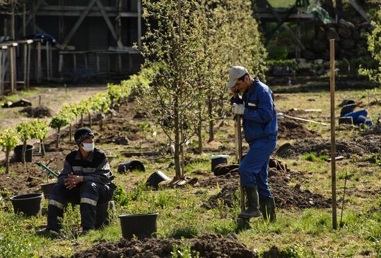 Ослабление карантинного режима в городах России