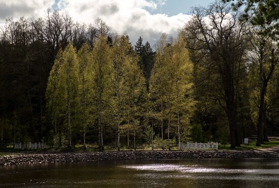 Ослабление карантинного режима в городах России