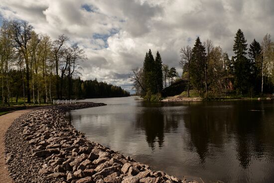 Ослабление карантинного режима в городах России