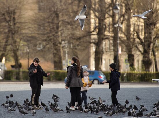 Ослабление карантинного режима в городах России