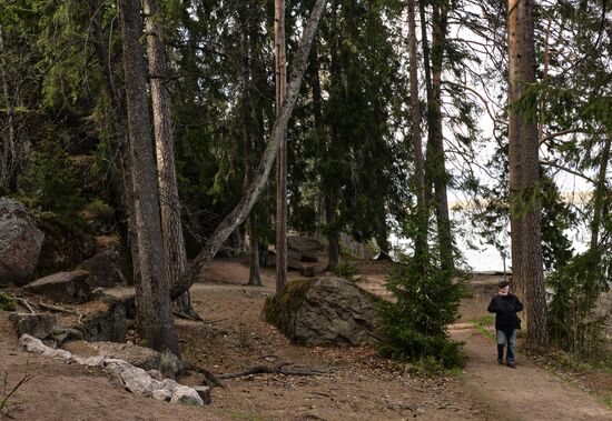 Ослабление карантинного режима в городах России
