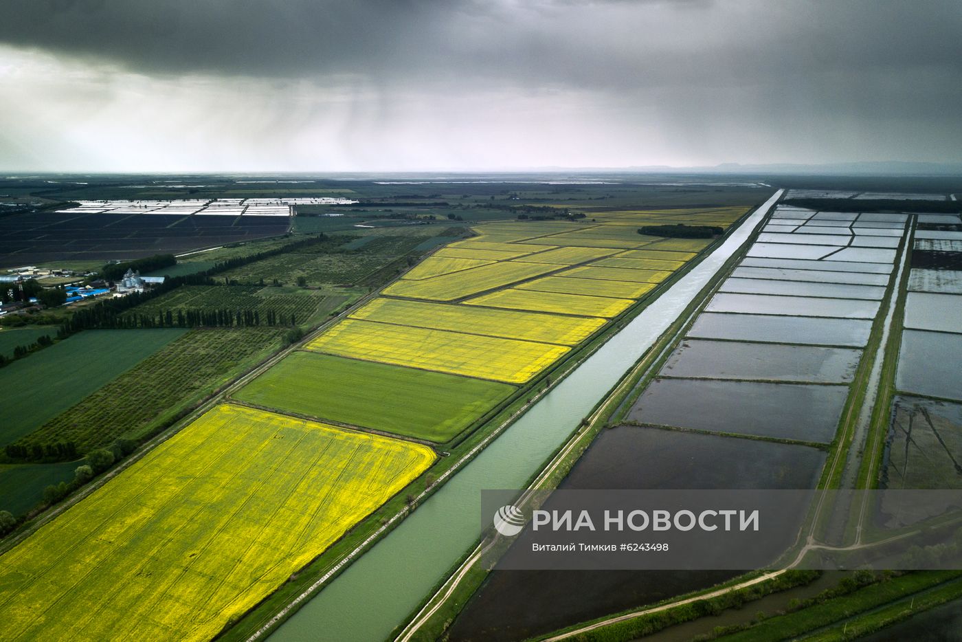 Выращивание риса в Краснодарском крае