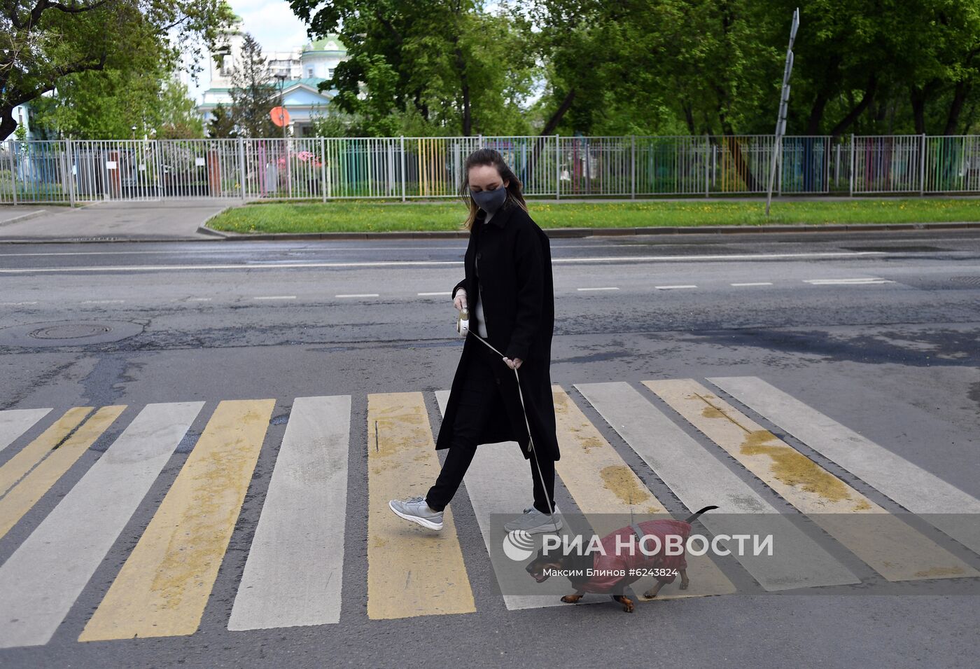 Выгул собак волонтерами в Москве во время пандемии COVID-19