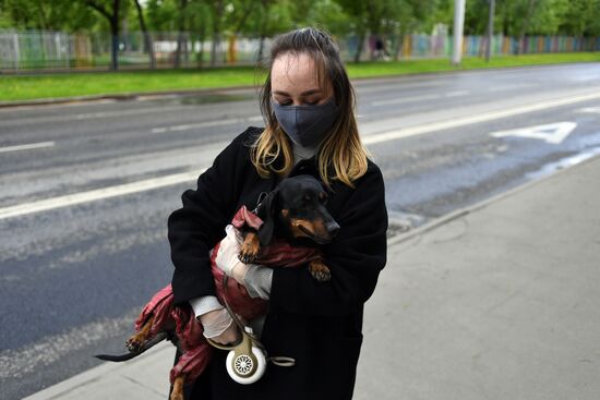 Выгул собак волонтерами в Москве во время пандемии COVID-19