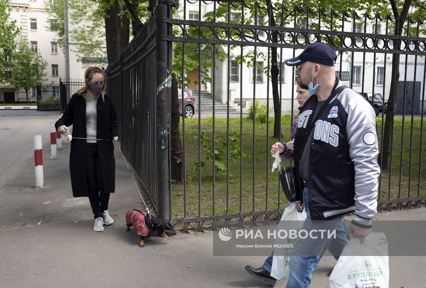 Выгул собак волонтерами в Москве во время пандемии COVID-19