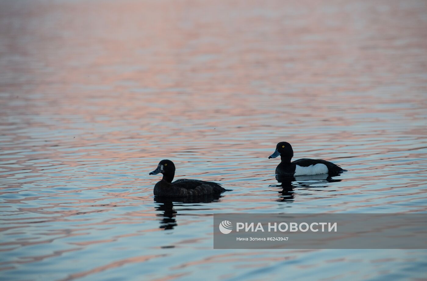 Москва во время режима самоизоляции жителей