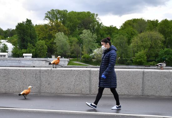 Москва во время режима самоизоляции жителей