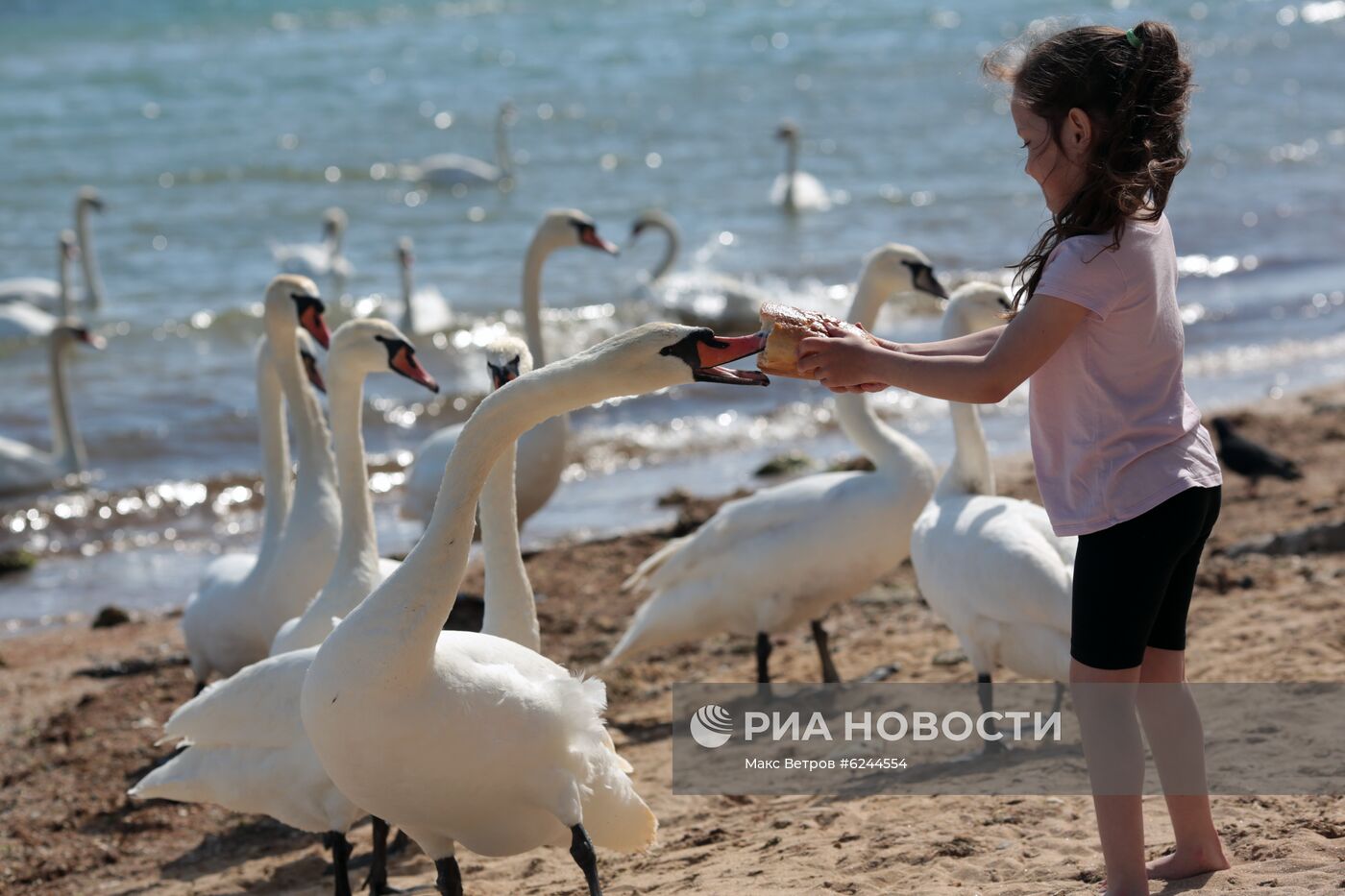 Ослабление карантинного режима в городах России