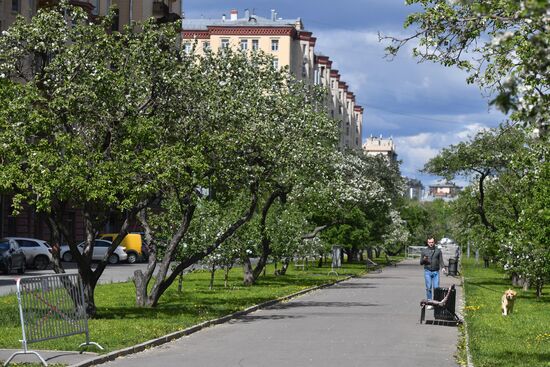 Москва во время режима самоизоляции жителей