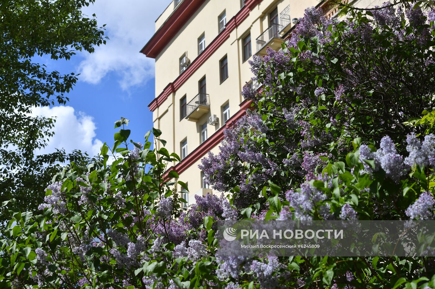 Москва во время режима самоизоляции жителей