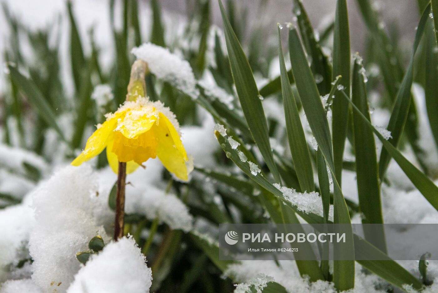 Снегопад в Карелии