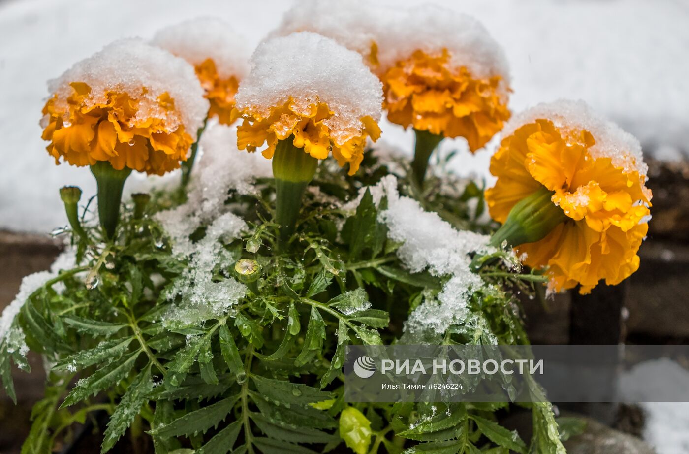 Снегопад в Карелии