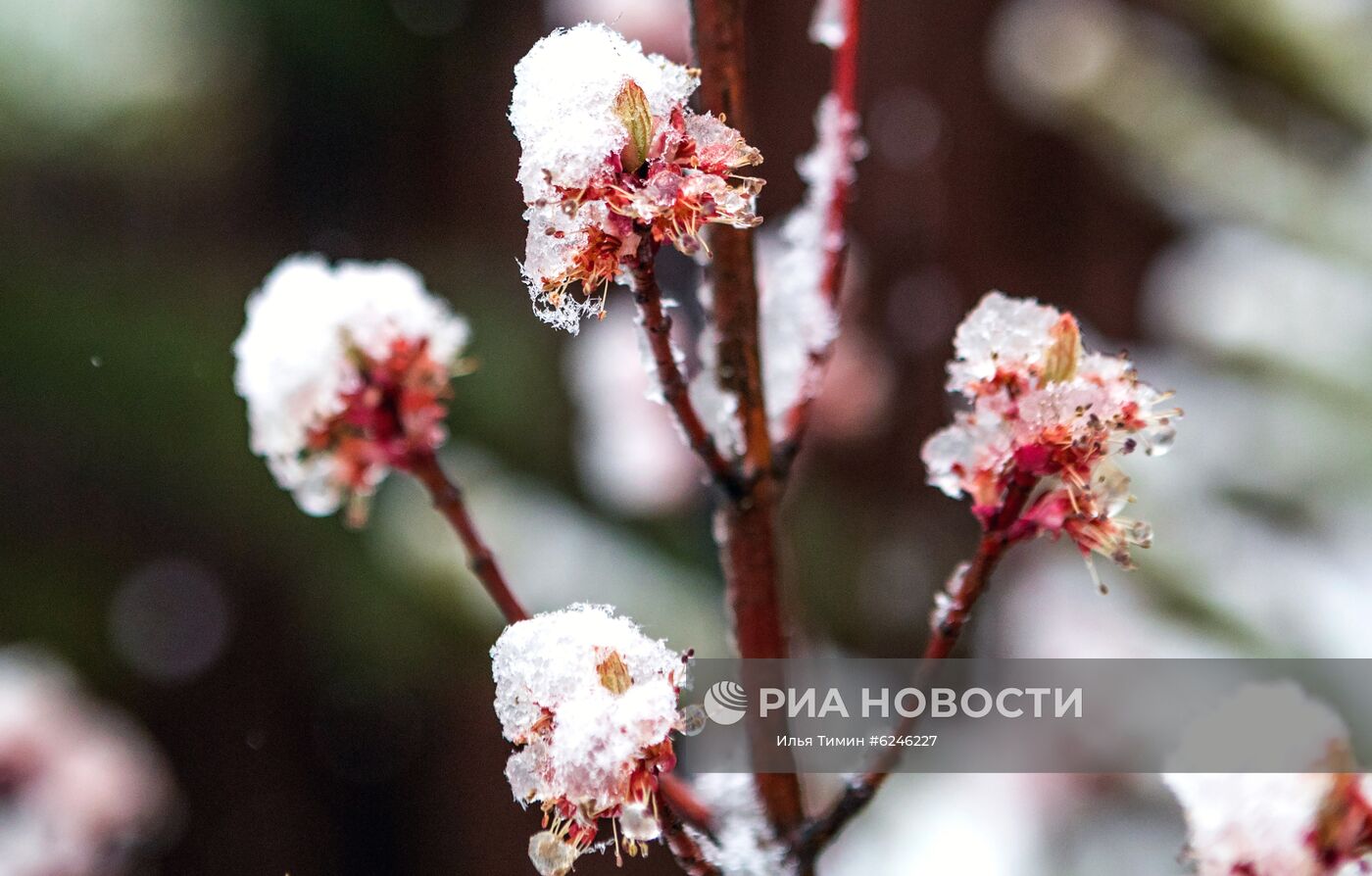 Снегопад в Карелии