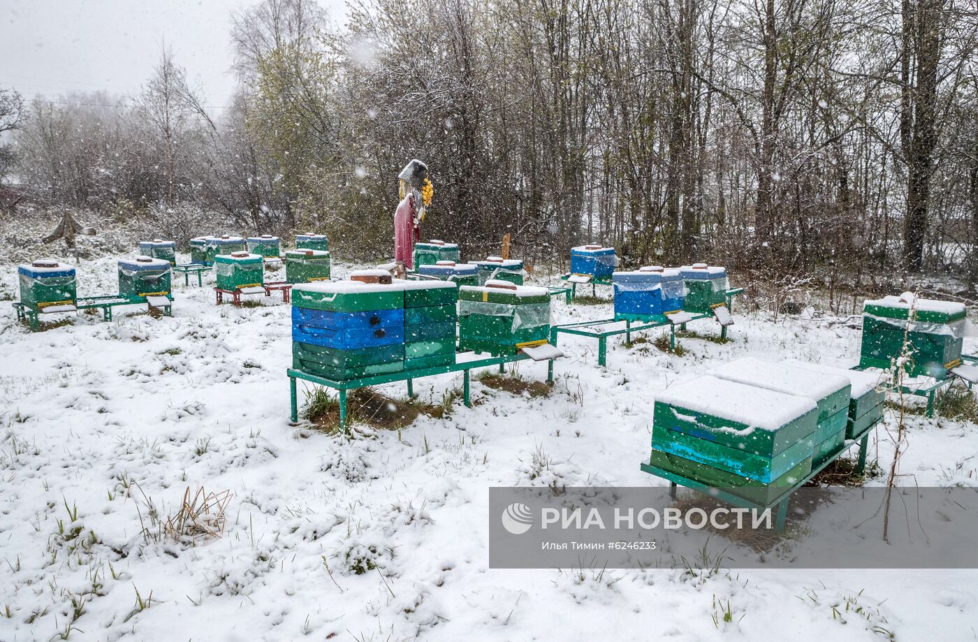 Снегопад в Карелии