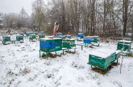 Снегопад в Карелии