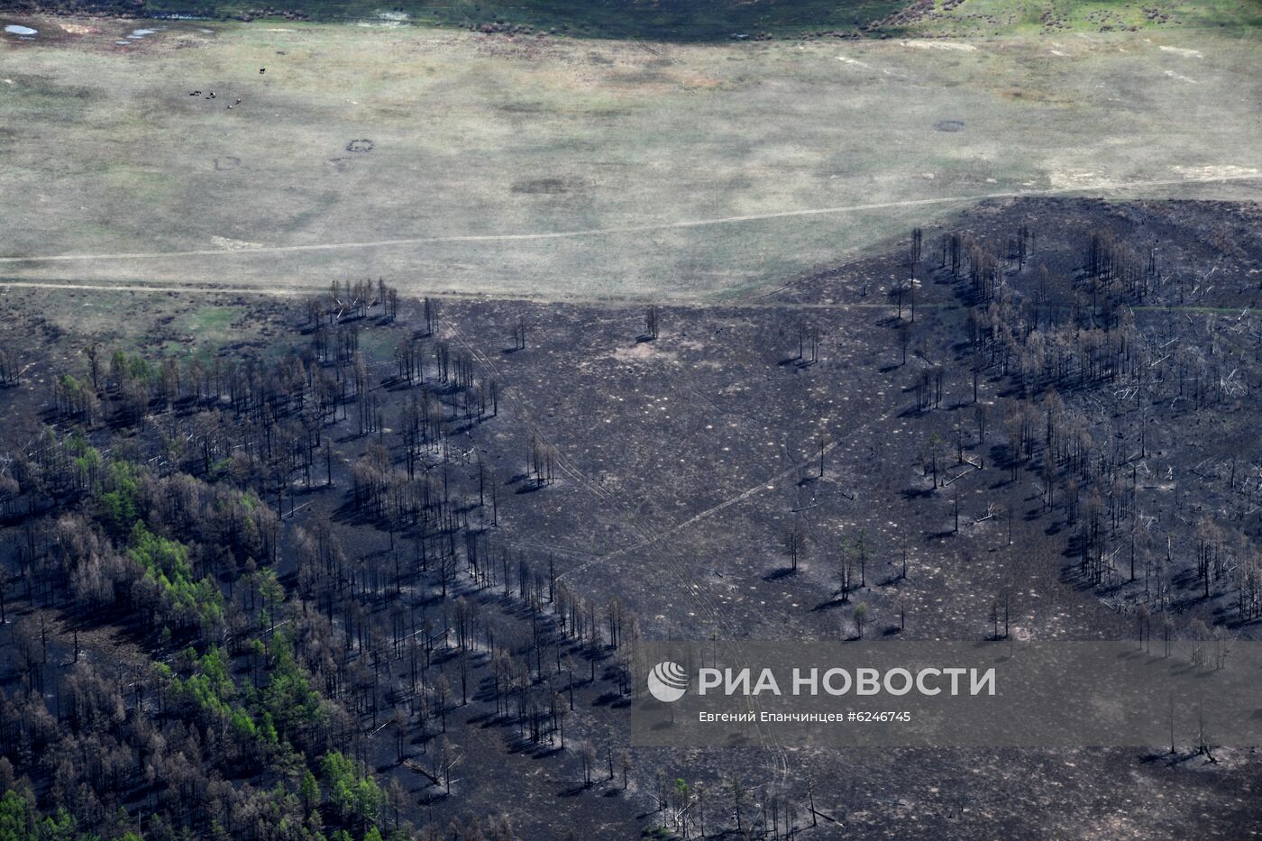 Лесные пожары в Забайкальском крае