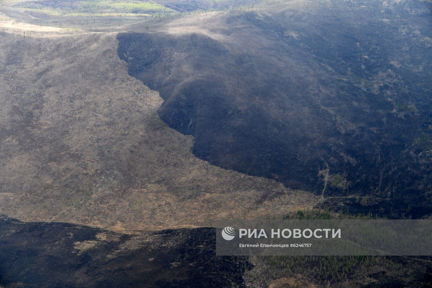 Лесные пожары в Забайкальском крае