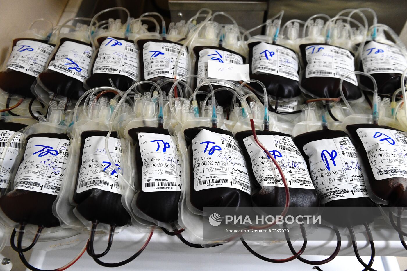 Новосибирский клинический центр крови